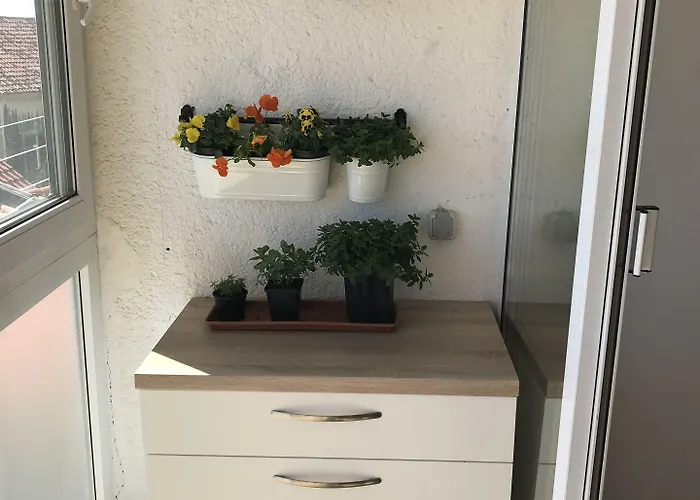 Walk Apartamento Split